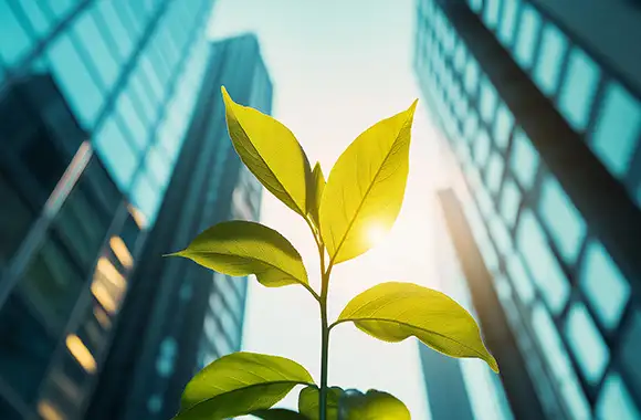 Planta verde creciendo frente a edificios modernos bajo la luz solar, representando el equilibrio entre desarrollo urbano y la sostenibilidad ambiental. 